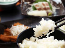【#お食事-イメージ】お米は地元産のコシヒカリです