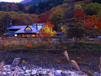 紅葉に染まる「温宿かじか」秋の夕暮れ 写真