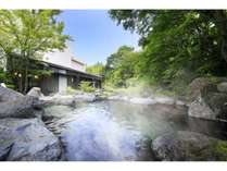 信州佐久　春日温泉　自然体感リゾートかすがの森の写真
