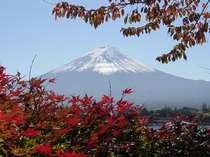 紅葉の河口湖畔から富士山を望む