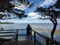 【ネイチャーツアー：1日コース】マングローブ林を抜けると、美しい海と青い空の景色