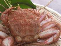 ◆オホーツク産毛蟹／毛蟹ならではの甘味と蟹みそをお愉しみください（イメージ）