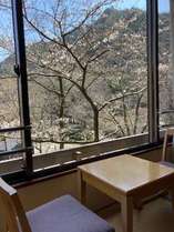 桜の見えるお部屋窓から手が届きそうな桜の花が見事です