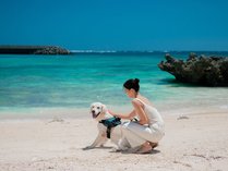 【愛犬と一緒に過ごす】愛犬と宮古島の海を満喫するなら、リゾート内にあるシギラビーチへ。