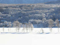 冬の白樺湖