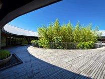 【牧野富太郎記念館】高知が生んだ「日本の植物分類学の父」牧野博士の業績を顕彰するため開園。