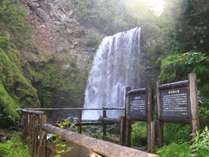乗鞍高原の3滝のひとつ「善五郎の滝」です。滝のしぶきが涼しい滝壷まで降りることができます！