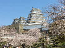 ・＜周辺情報＞世界遺産「姫路城」まで徒歩約10分でアクセス可能◎