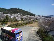 春は桜、秋は紅葉・・・