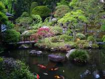 かの有名な夢窓国師の日本庭園。囲まれた緑に風を感じながら、小鳥のさえずりと共に非日常へと導きます。