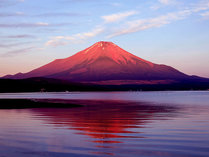 ・夏の朝日が照らされ、赤く染まった縁起のよい赤富士