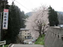 法林寺温泉入り口の坂道 写真