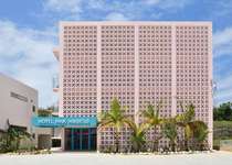 ＨＯＴＥＬ　ＰＩＮＫ　ＨＩＢＩＳＣＵＳ