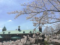 桜の季節にはお花見をお楽しみください 写真