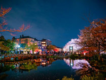 円山公園から見る長楽館と夜桜