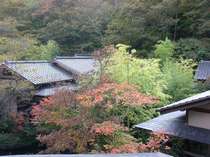 【外観】初秋の庭と離れの屋根