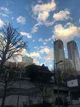 近東京都庁 写真