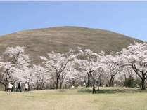 伊豆高原　山之辺の宿　桜舞　～ohbu～