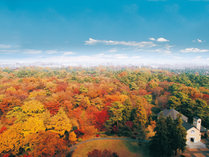*【庭園・秋（一例）】紅葉した昭和の森は、客室からも眺められる絶景です　
