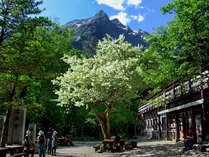 上高地　朝焼けの宿　明神館 (長野県)