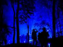 ■夜の森を歩いて愉しむナイトウォーク「カムイルミナ」／スティックを手にアイヌの物語の中へ　※イメージ