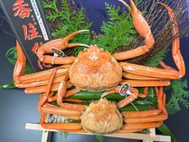 超特大1kg以上の香住蟹と通常サイズの香住蟹