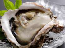 【岩牡蠣】初夏～夏限定・海のミルクと称されるミネラル豊富な「岩牡蠣」を味わう！