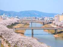足羽川桜並木は日本さくら名所百選の一つ。お車で約35分
