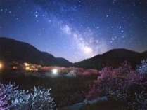 花桃と天の川旅館上空の星空