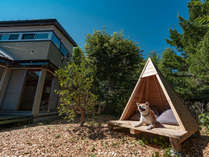 伊豆高原にある一棟貸し切りの犬宿。ドッグランも広くワンちゃんと一緒に旅行を楽しめます。2021年8月有名デザイナーが設計、リフォーム完了　2021年10月　タレントの森泉さんが撮影でいらっしゃいました。
