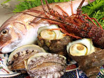 海鮮食材◆新鮮な海の幸をご提供します