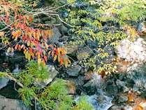 【景色】秋の檮原川