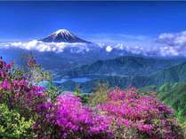 【新道峠】車で45分程＆徒歩6分程となる絶景ポイントから見晴らせる春色の富士山と河口湖の景色です。