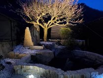 梅の木と天然露天温泉