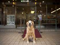 看板犬ラブがお待ちしております 写真