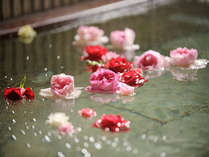 【バラ風呂】季節によってバラの品種や大きさが異なります。（一例）
