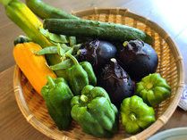 新鮮な高原夏野菜は栄養たっぷり、濃厚な美味しさです。夏の体を元気にしてくれます。