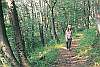 宿の横には森林浴散歩コースもあり　神鍋山山頂まで２０～３０分。