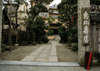 創業江戸初期。400余年の伝統ある江の島島内、老舗料理旅館の正面入口。
