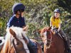 馬と触れ合い、学びを深めるプログラム「馬の学校」