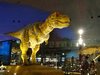 世界三大恐竜博物館のひとつ、福井県立恐竜博物館、数々の恐竜の化石は見るものを圧倒する迫力！