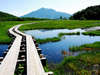 【尾瀬】日本でも有数の自然の宝庫、尾瀬。約900種類もの高層植物が確認されている。
