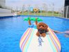 Dog　pool　village富津海岸