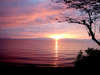 *当館の目の前の琵琶湖から登る朝日。早起きして見てみて下さいね♪