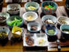 *夕食一例／山菜・きのこ・川魚・野菜など。地場の食材中心の郷土料理の数々をお楽しみ下さい！