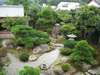 部屋から見える日本庭園