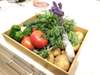 ■北海道素材の野菜■四季それぞれの味覚を前菜やサラダに取り入れています