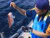 伝統ある延縄漁で獲る高級魚【グジ】を堪能して下さい！！