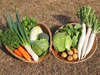【野菜】佐渡産・有機栽培ササニシキや農薬・化学肥料を使わない農作物を生産者から直接仕入れています。
