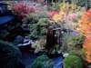 【日本庭園の紅葉】四季折々いろんな表情を見せる日本庭園。ロビーから見下ろした角度。
